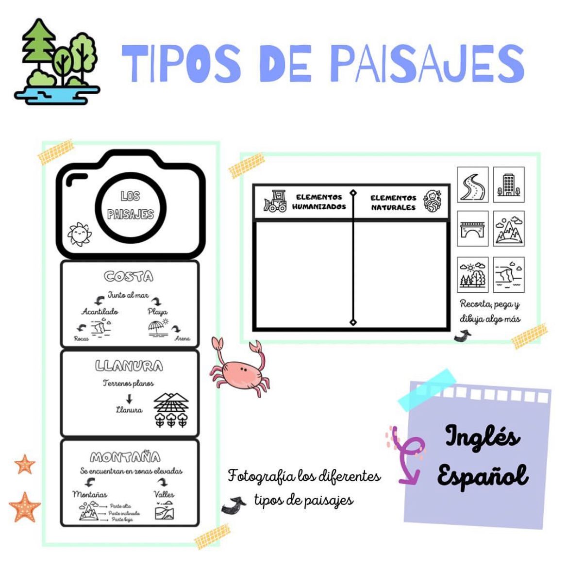 🟢PACK CIENCIAS en español e inglés🟢 Cuadernillo Coleideando educación primaria