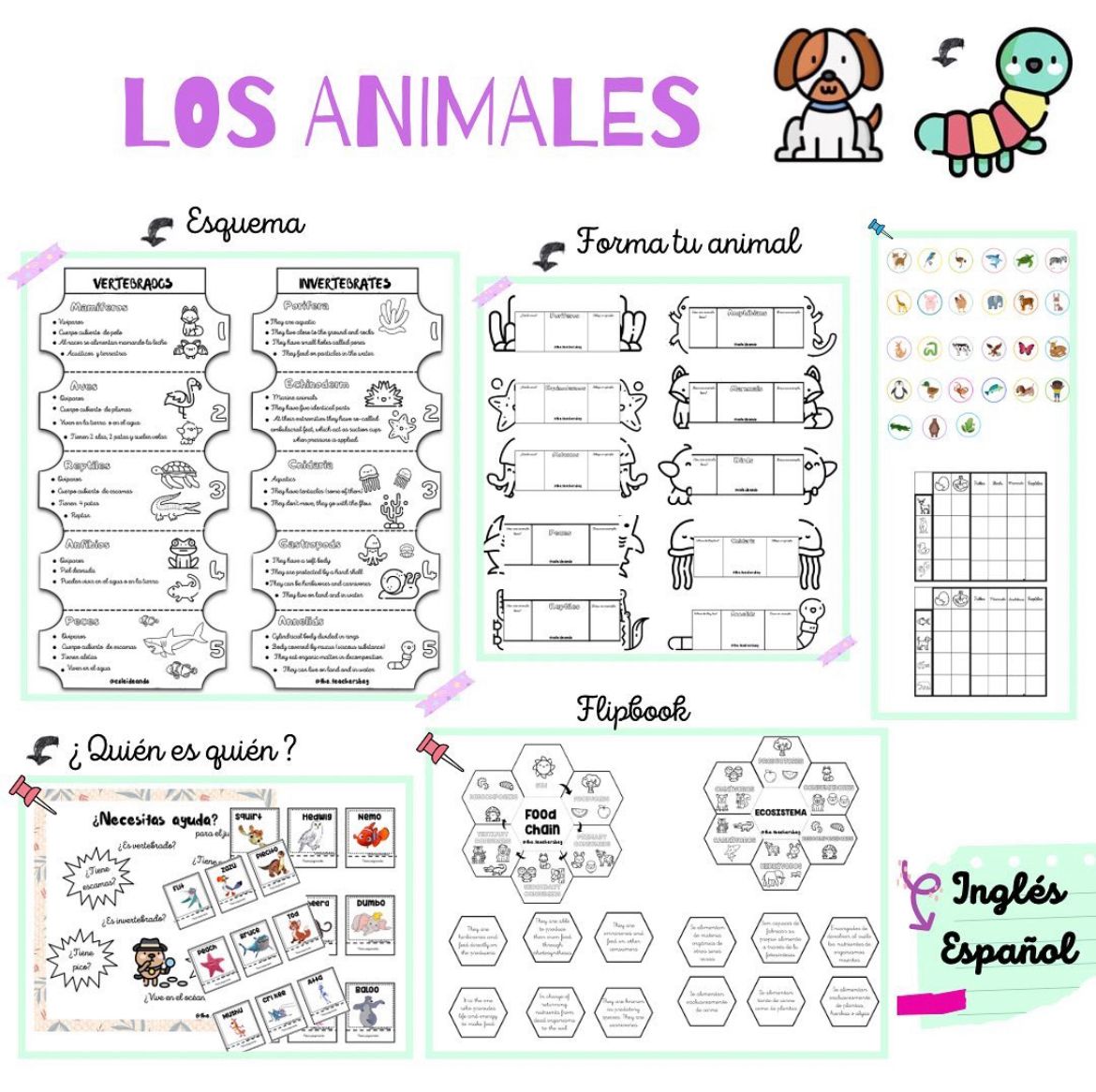 🟢PACK CIENCIAS en español e inglés🟢 Cuadernillo Coleideando educación primaria