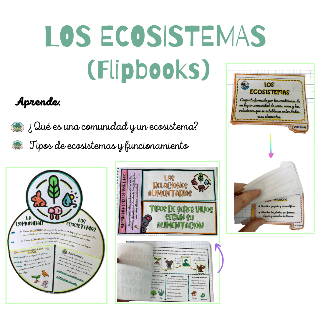 🐍🍄LOS ECOSISTEMAS🍄🐍 Cuadernillo Coleideando educación primaria