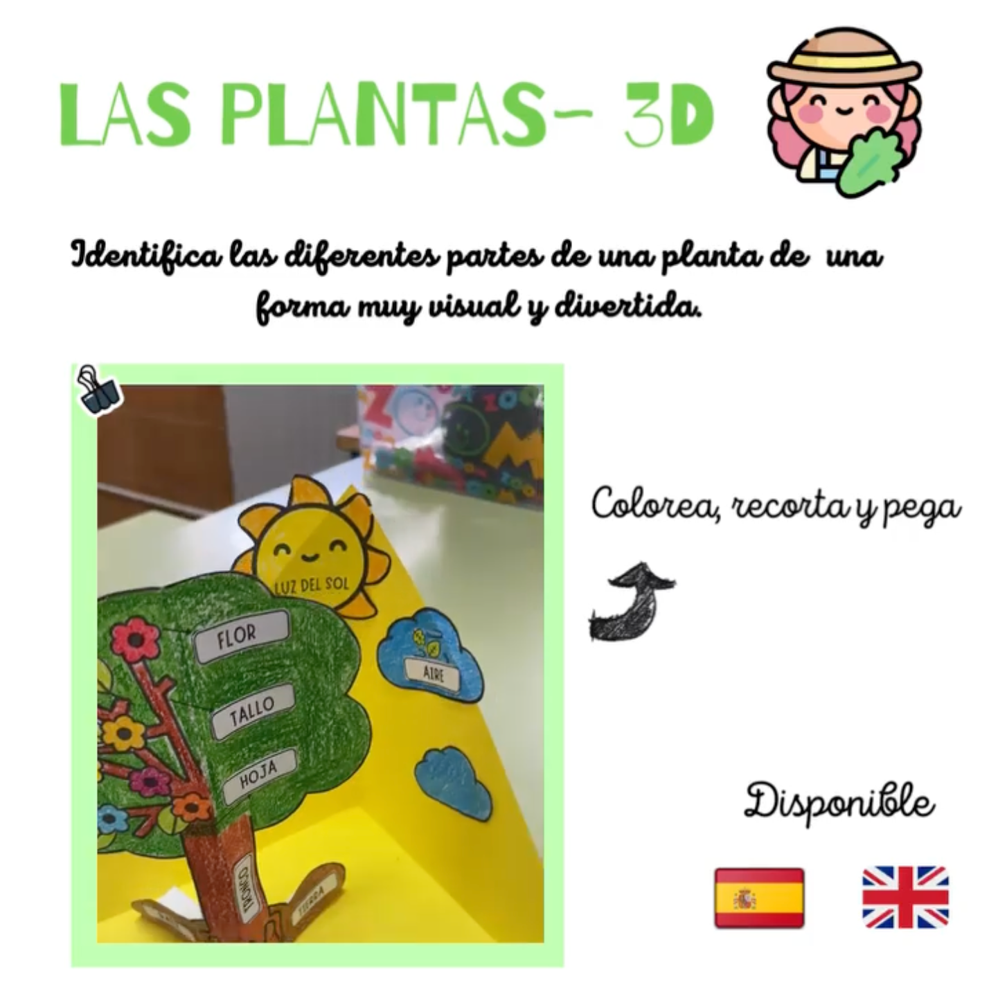🟢PACK CIENCIAS en español e inglés🟢 Cuadernillo Coleideando educación primaria